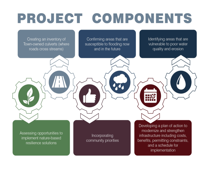 Graphic showing the steps in the MVP grant project