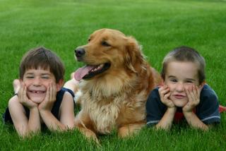 Two children laying on grass with a golden retriever