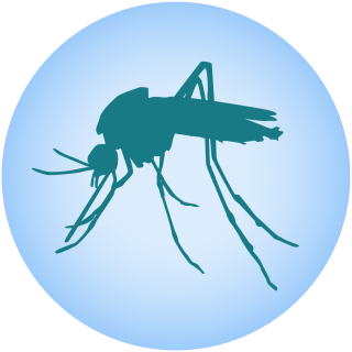 Mosquito-borne disease prevention