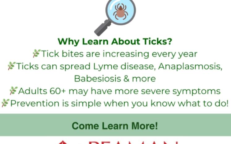 tick